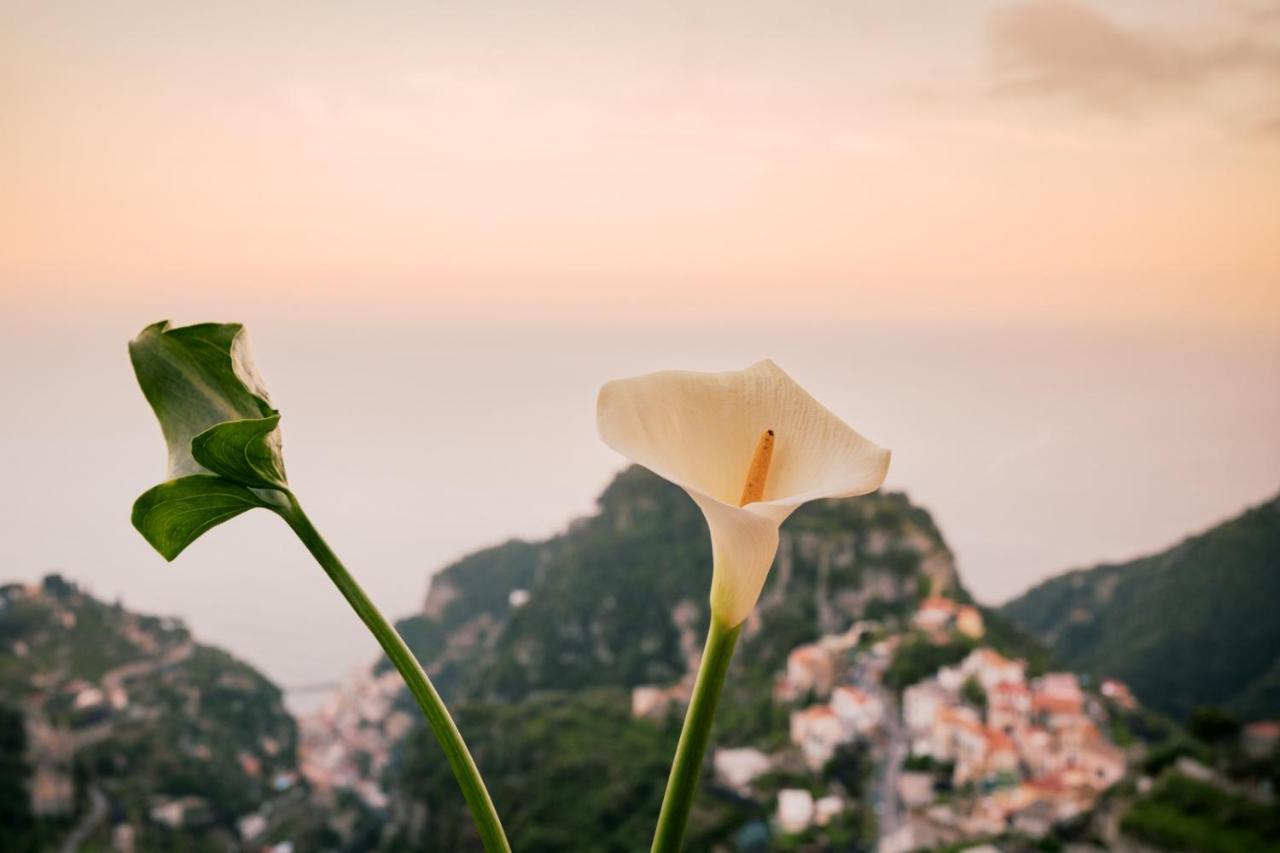 Casa Bellavista Scala Minuta Amalfi Coast Apartment Ngoại thất bức ảnh